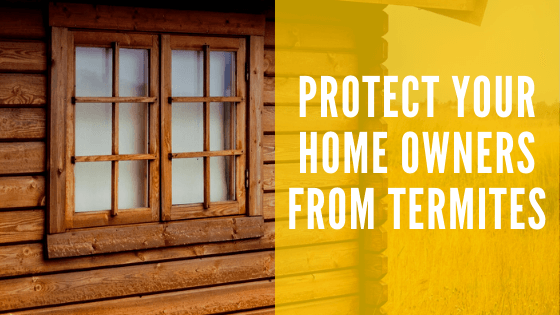 Protect your Homeowners from Termites